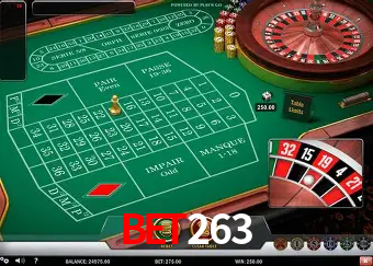 Descubra o Mundo do Cassino Online com bet263