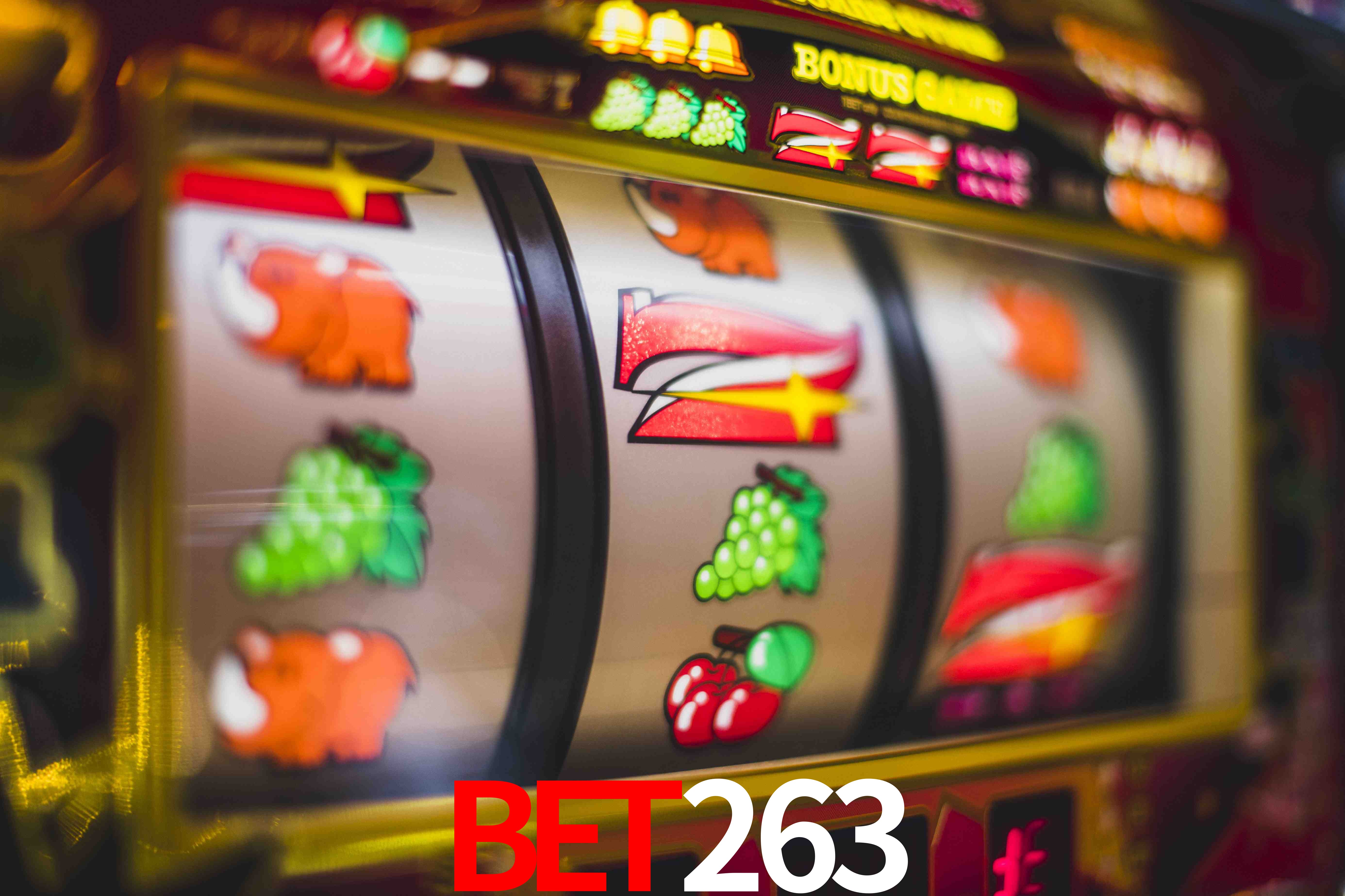 Game Providers bet263